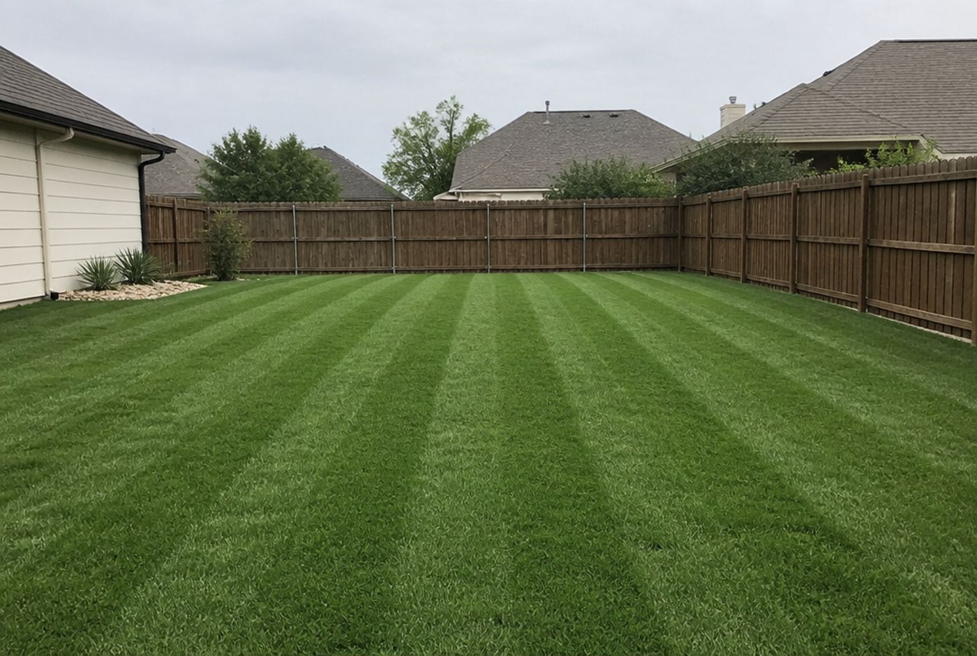 Backyard off the bare list, after