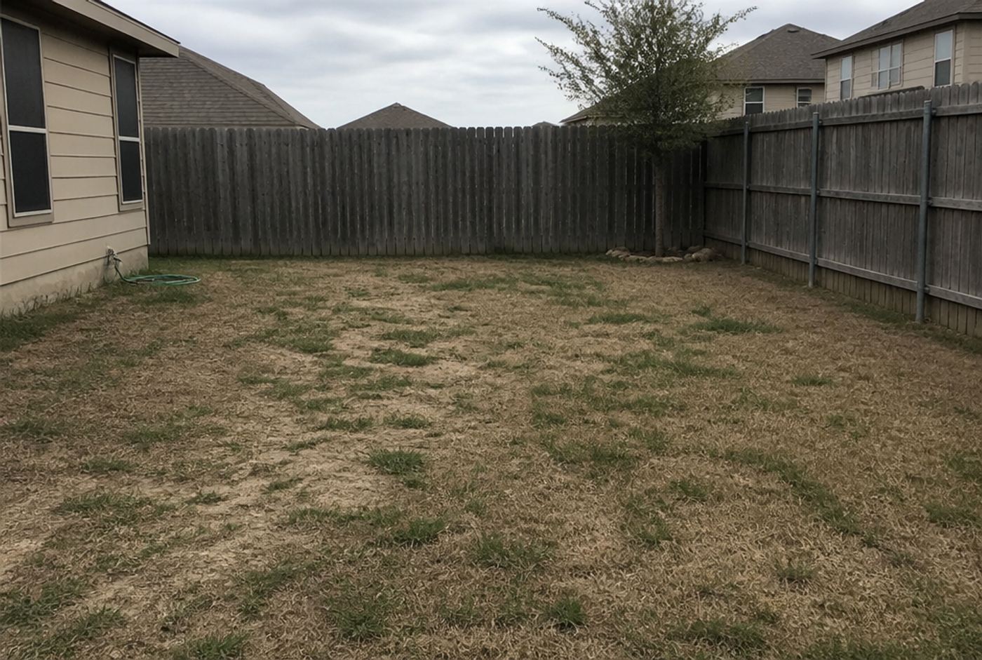 Backyard off the bare list, before