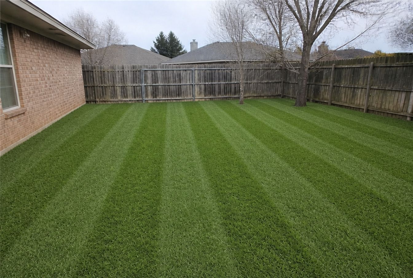 Backyard reset, one season, after